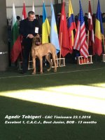 Agadirek CAC Timisoara
