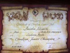 Baisha Champion HR