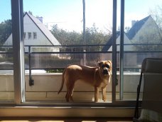 Bakiya 10months