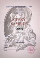Aki Český champion