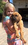 Bashira 8weeks