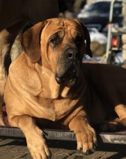 Baisha 5 years