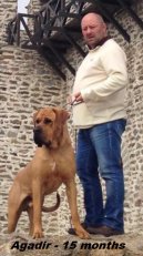 Agadirek 15 months