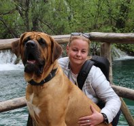 Akinek plitvice