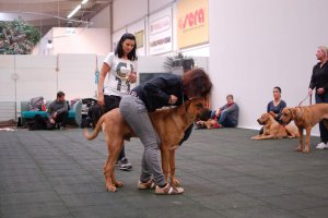 DSC 0433
