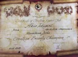 Champion HR