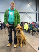 Akemi CACIB Brno 2017