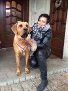 baisha Dog Expo CAJC