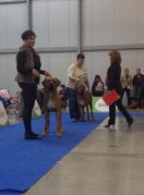 Aki CACIB Praha 11m