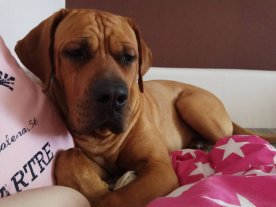 Buráček 9m