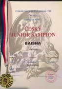 Baisha šampion CZ