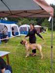 IMG-1298