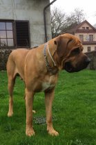 Aki 16m 75kg