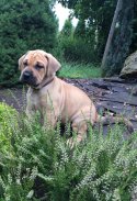 Bahira 5 weeks