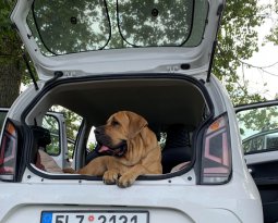 Bahi7