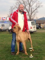 Aki CACIB Srbsko 15m