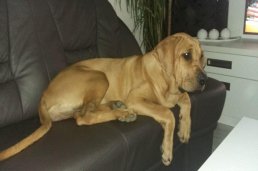 Bonitka 5months